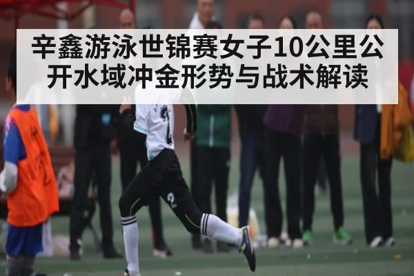 辛鑫游泳世锦赛女子10公里公开水域冲金形势与战术解读